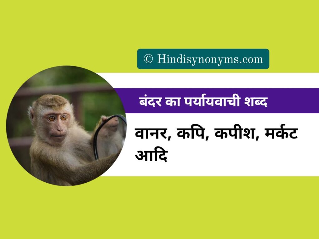 Bandar Ka Paryayvachi Shabd