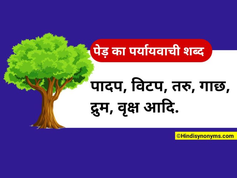 tree-synonyms-in-hindi-hindi-synonyms